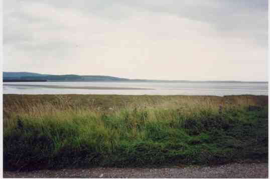 Levens Estuary View