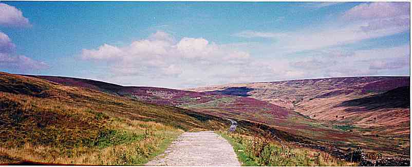 Croasdale Fell covered with heather